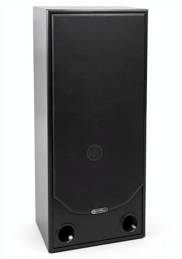 Bic Floorstanding Speaker 15in Plastic Design-4