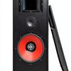 Bic Floorstanding Speaker 15in Plastic Design-3